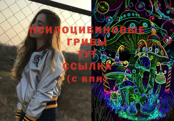 молекула духа Апатиты
