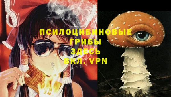 дживик Приозерск