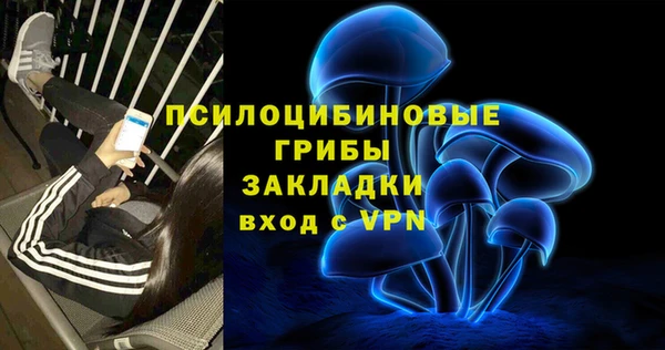 ALPHA PVP Покачи