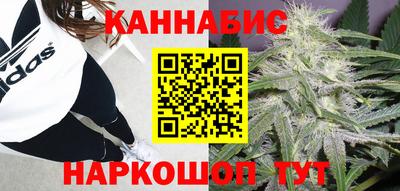сатива Тулун