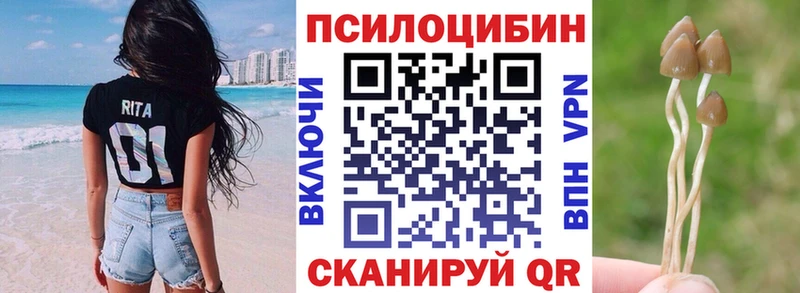 Галлюциногенные грибы GOLDEN TEACHER  KRAKEN зеркало  Тында 