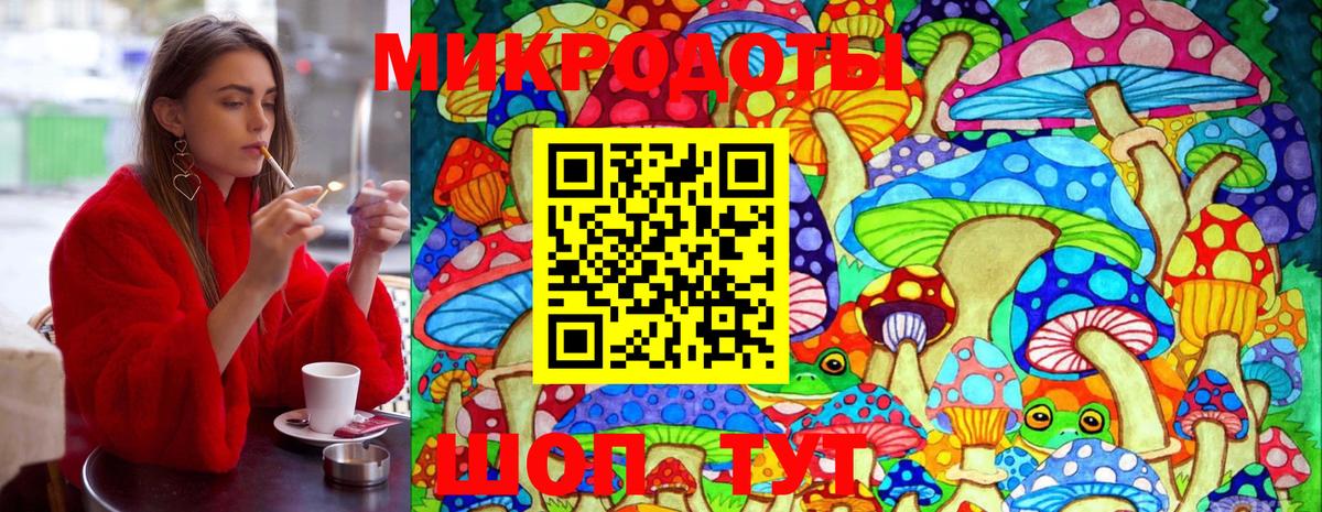 Галлюциногенные грибы Psilocybine cubensis Тында