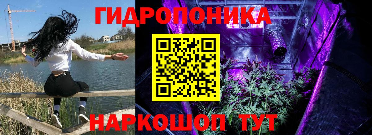 Бошки Шишки MAZAR  Шишки марихуана ГИДРОПОН  Вход с VPN  Тында  Шишки марихуана LSD WEED 